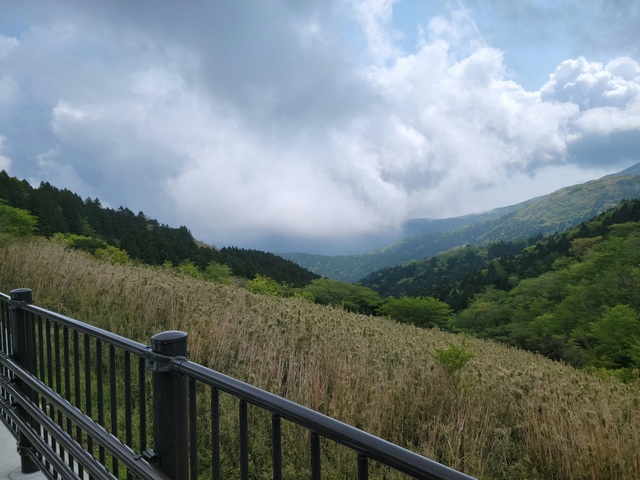 20220508_085944.jpg